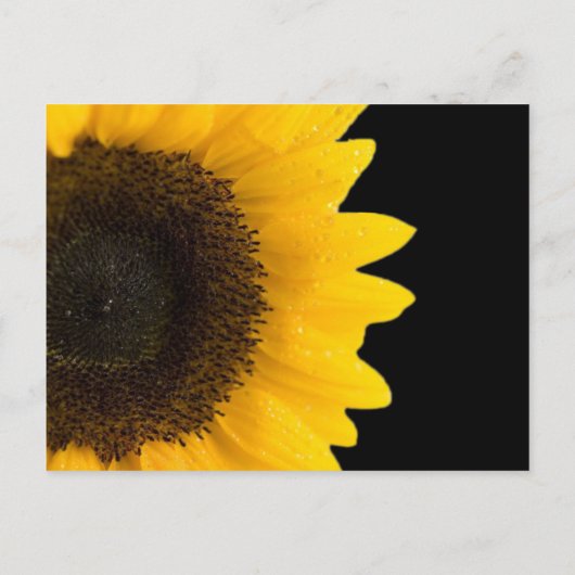 Schöne elegante Sonnenblume Einladung (Rückseite)