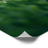 Schöne elegante weiße Gebäude Poster (Ecke)