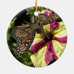 Schöne Elephant Butterfly Keramikornament