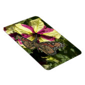 Schöne Elephant Butterfly Magnet (Rechte Seite)
