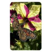 Schöne Elephant Butterfly Magnet (Vertikal)