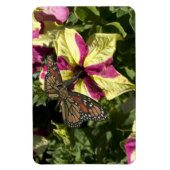 Schöne Elephant Butterfly Magnet (Vertikal)