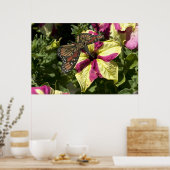 Schöne Elephant Butterfly Poster (Küche)
