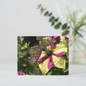 Schöne Elephant Butterfly Postkarte (Stehend Vorderseite)