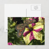 Schöne Elephant Butterfly Postkarte (Vorne/Hinten)
