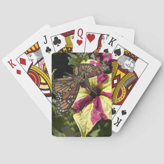 Schöne Elephant Butterfly Spielkarten (Rückseite)
