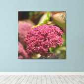 Schöne Engelwurz-Blume Leinwanddruck (Insitu (Holzboden))