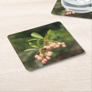 Schöne Enkianthus-Blumen Rechteckiger Pappuntersetzer