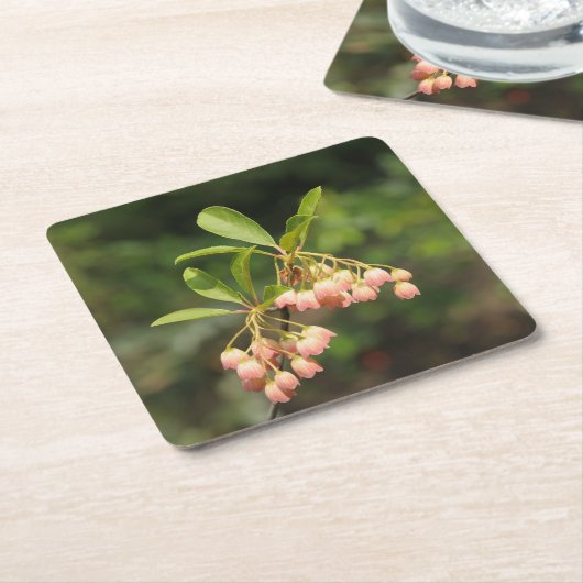 Schöne Enkianthus-Blumen Rechteckiger Pappuntersetzer (angewinkelt)