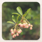 Schöne Enkianthus-Blumen Rechteckiger Pappuntersetzer (Vorderseite)