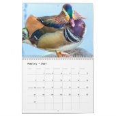 Schöne Enten Fotografie Kalender (Feb 2027)