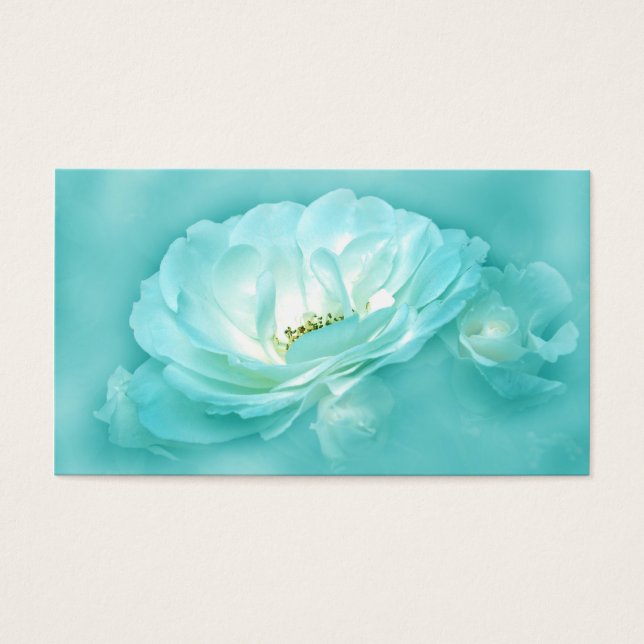 Schöne Equine (Vorderseite)