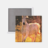 Schöne Equine Magnet (Vorderseite/Rückseite)