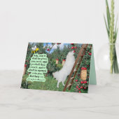 Schöne Eskie und Orchard-Schrift Matthew 7:7 Karte (Vorderseite)