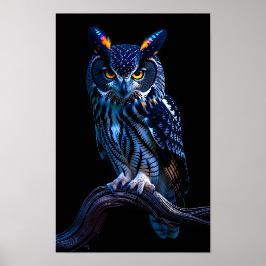 Schöne Eule Poster (Vorne)