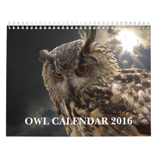 Schöne Eulen-Bilder und Bilder 2016 Kalender (Titelbild)