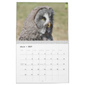 Schöne Eulen-Bilder und Bilder 2017 Kalender (Mär 2027)