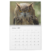 Schöne Eulen-Bilder und Bilder 2017 Kalender (Jan 2027)