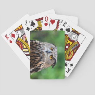Schöne Eulen-Spielkarten Spielkarten