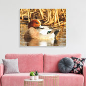 Schöne eurasische Wigeon-Ente am Teich Leinwanddruck (Insitu (Wohnzimmer))