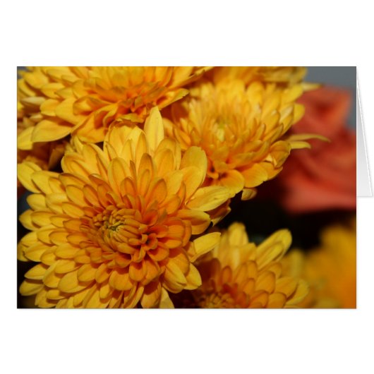 Schöne Fall-Blume (Vorderseite (Horizontal))