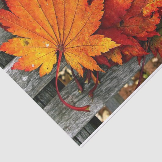 Schöne Fall Red Blätter auf Holzzaun Seidenpapier (Ausschnitt)