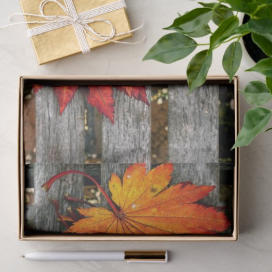 Schöne Fall Red Blätter auf Holzzaun Seidenpapier (Geschenk)