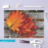 Schöne Fall Red Blätter auf Holzzaun Seidenpapier (Handwerk)