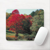 Schöne Fallszene Mousepad (Mit Mouse)