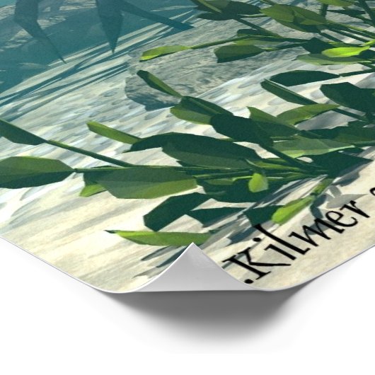 Schöne Fänge Poster (Ecke)