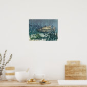 Schöne Fänge Poster (Küche)