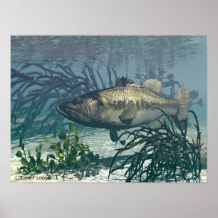 Schöne Fänge Poster