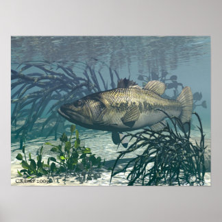 Schöne Fänge Poster