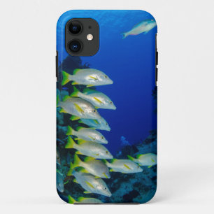 Schöne Farben Bestes Geschenk für das Leben im M Case-Mate iPhone Hülle