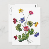 Schöne Farben bestickt mit Holz Sorrel Postkarte (Vorne/Hinten)