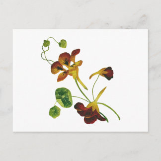 Schöne Farben bestickt Nasturtien Postkarte