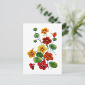 Schöne Farben bestickt Nasturtien Postkarte (Stehend Vorderseite)