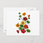 Schöne Farben bestickt Nasturtien Postkarte (Vorne/Hinten)