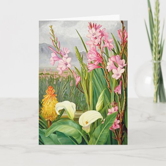 Schöne farbenfrohe Blume Blankokarte Karte (Vorderseite)