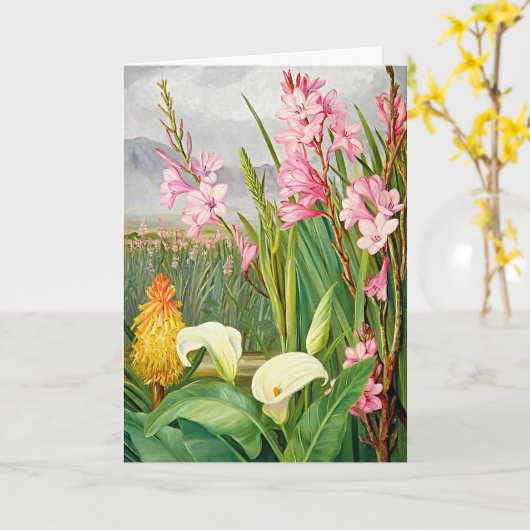 Schöne farbenfrohe Blume Blankokarte Karte (Gelbe Blume)