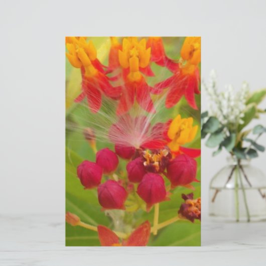 Schöne, farbenfrohe Blüte mit Milkweed Art Printin Briefpapier (Stehend Vorderseite)