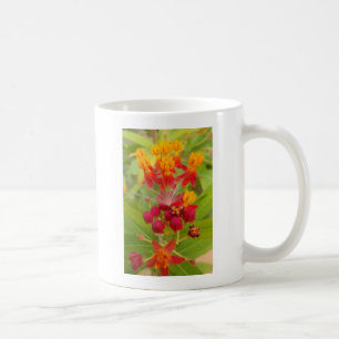 Schöne, farbenfrohe Blüte mit Milkweed Art Printin Kaffeetasse