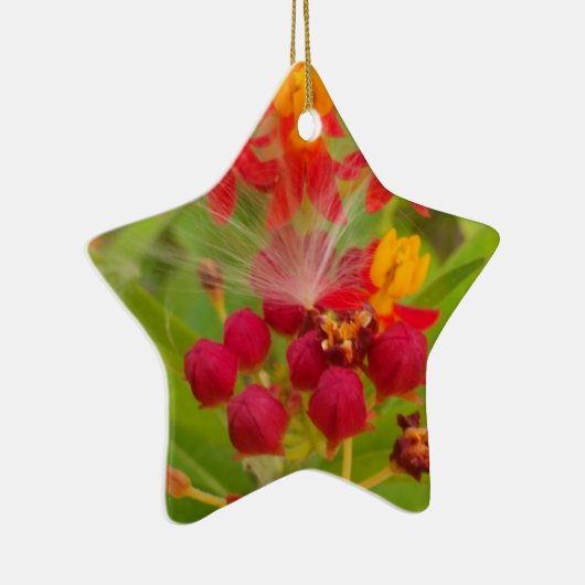 Schöne, farbenfrohe Blüte mit Milkweed Art Printin Keramik Ornament (Rechts)