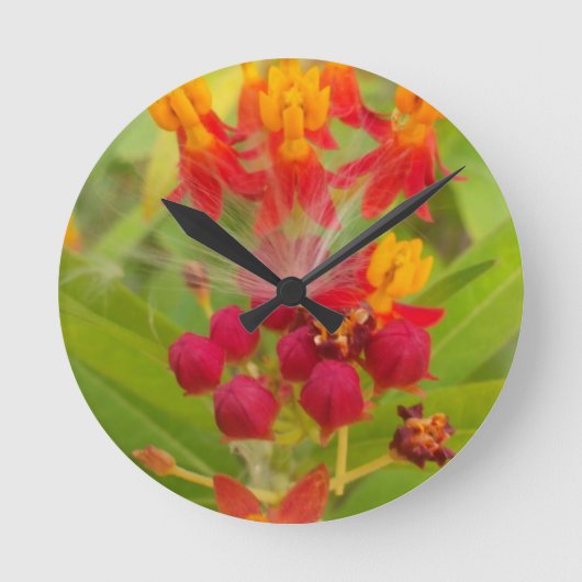 Schöne, farbenfrohe Blüte mit Milkweed Art Printin Runde Wanduhr (Vorderseite)