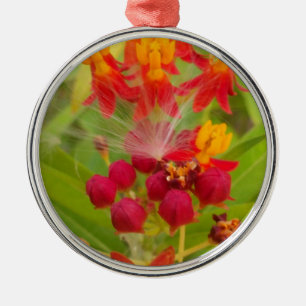 Schöne, farbenfrohe Blüte mit Milkweed Art Printin Silbernes Ornament