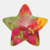 Schöne, farbenfrohe Blüte mit Milkweed Art Printin Stern-Aufkleber (Vorderseite)