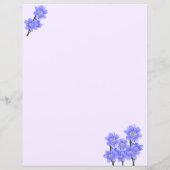 Schöne farbenfrohe Flora 8.5 x 11 Stationäre (Rückseite)