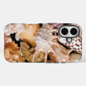 Schöne, farbenfrohe Muscheln, Beach Theme Case-Mate iPhone Hülle (Rückseite (Horizontal))