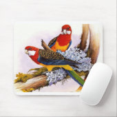 Schöne farbenfrohe Papageien Mousepad (Mit Mouse)