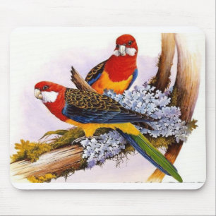Schöne farbenfrohe Papageien Mousepad